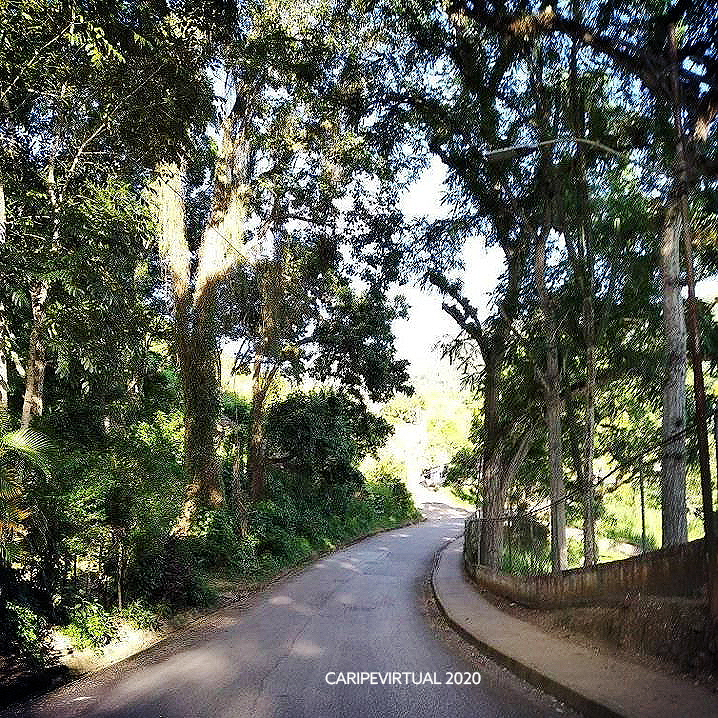 CasonaBlanca6