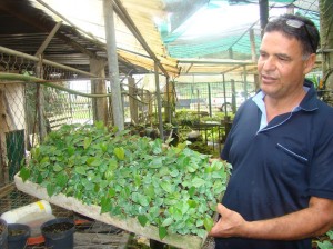 Las Orquídeas de "El Gato"