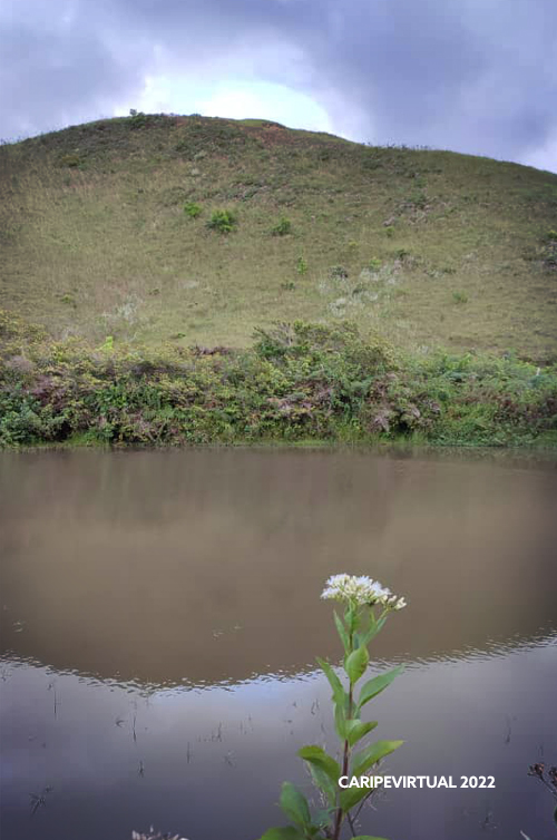 Tacarigua2
