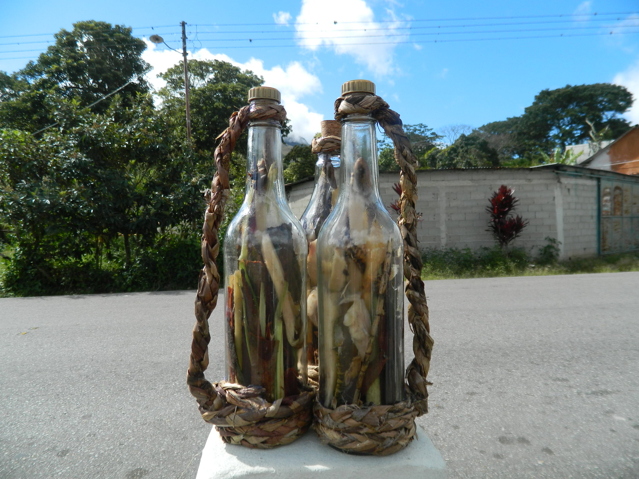 La Botella de Bruja