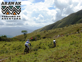 Bicicleta de montaña