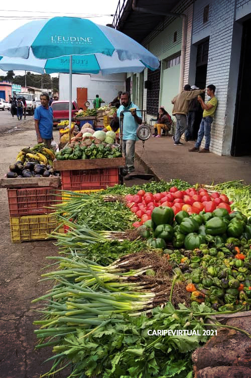 fincas1