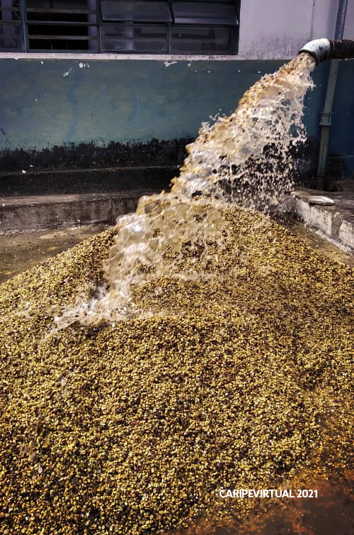 fincas16