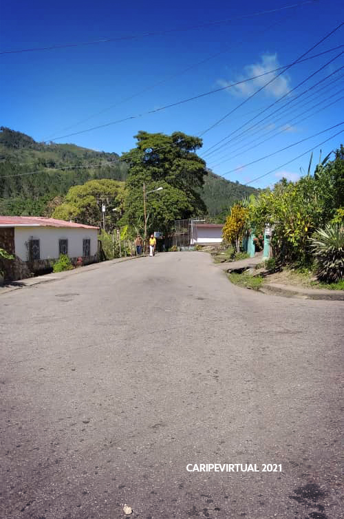 fincas20