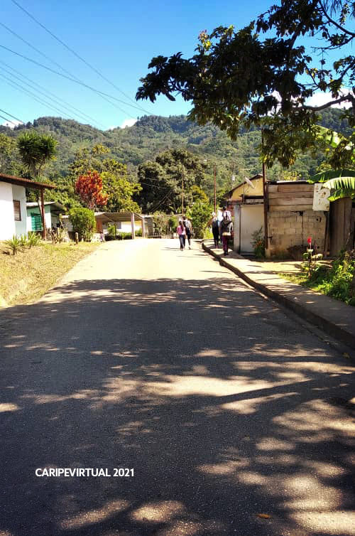 fincas9