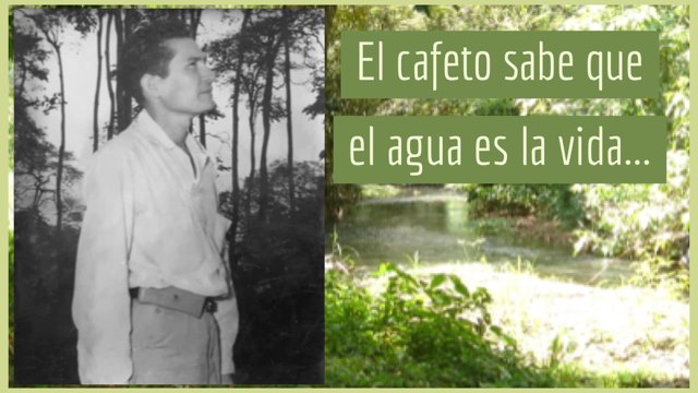 El Cafeto Sabe que El Agua es Vida