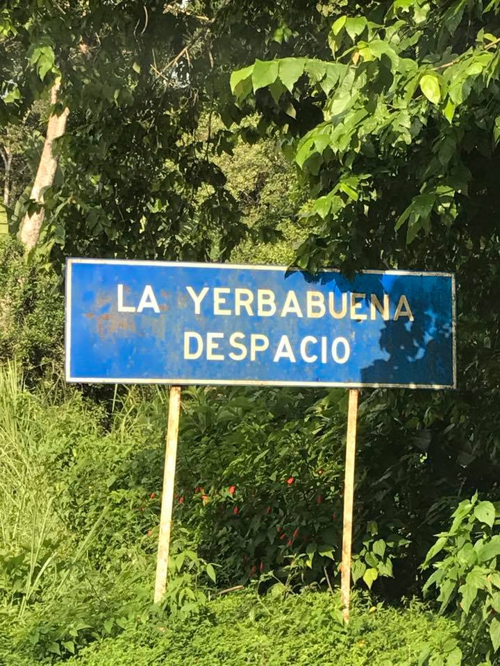 la yerbabuena