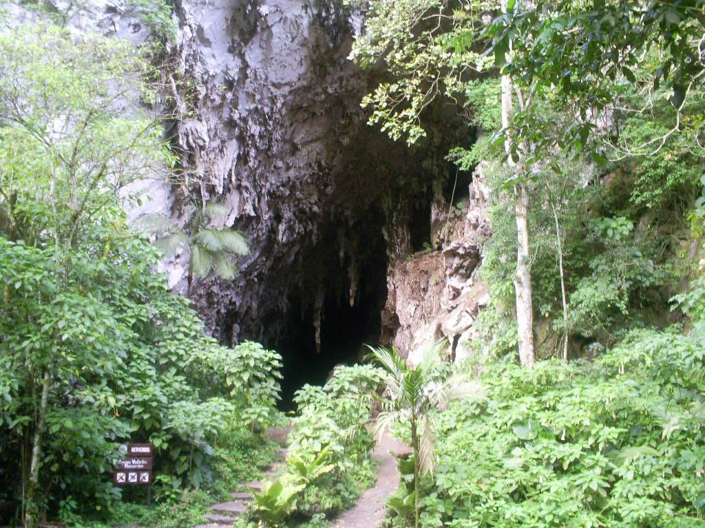 La Cueva del Guácharo