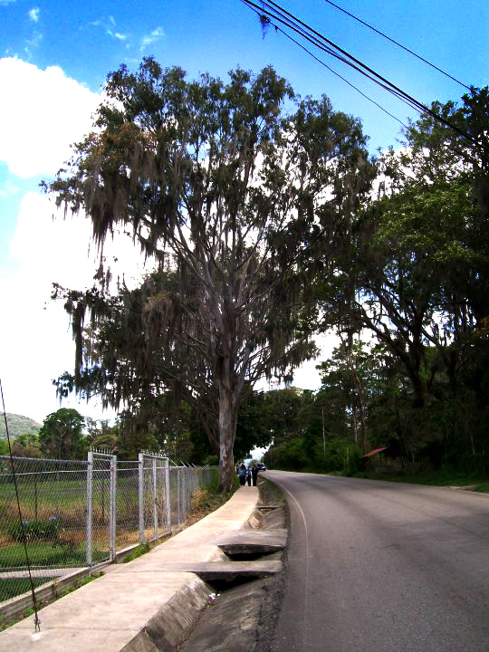 29208 448857137221 4217192 n