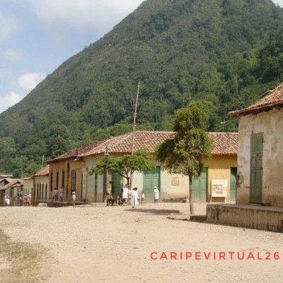 Caripe Color de Antaño 