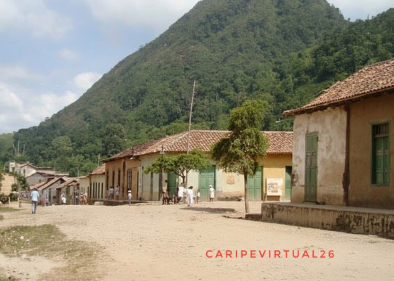 Caripe Color de Antaño 