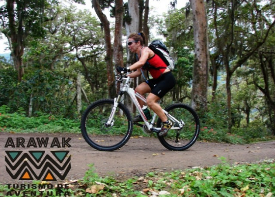 Bicicleta de Montaña