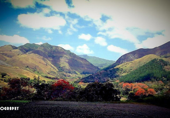 La Peña,.. Un Remanso de Paz